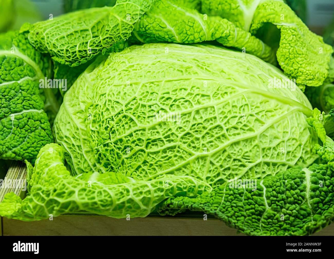 Green fresh whole Savoy cabbage close up Stock Photo - Alamy