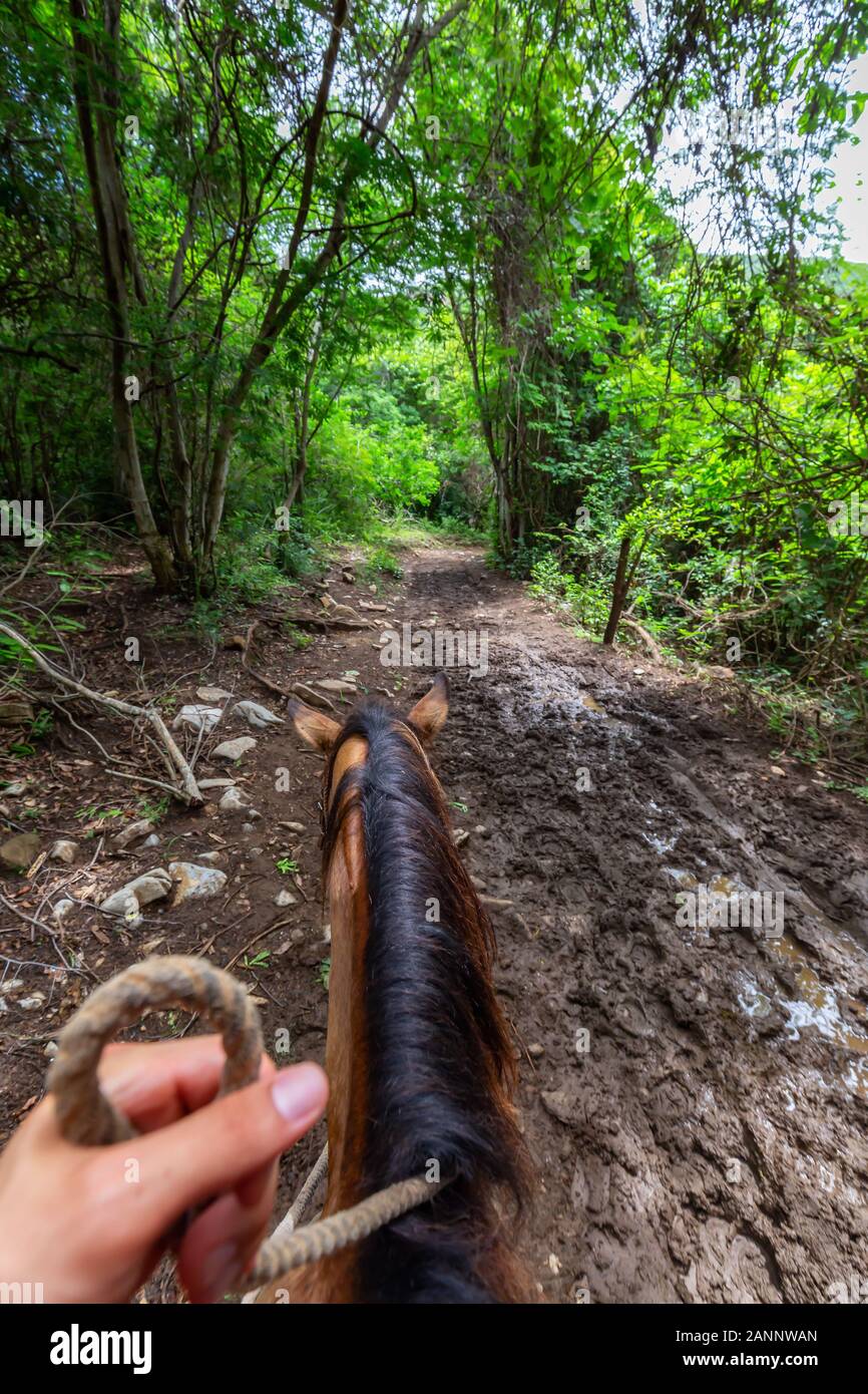 Horseback Riding in Trinidad, Cuba Stock Photo