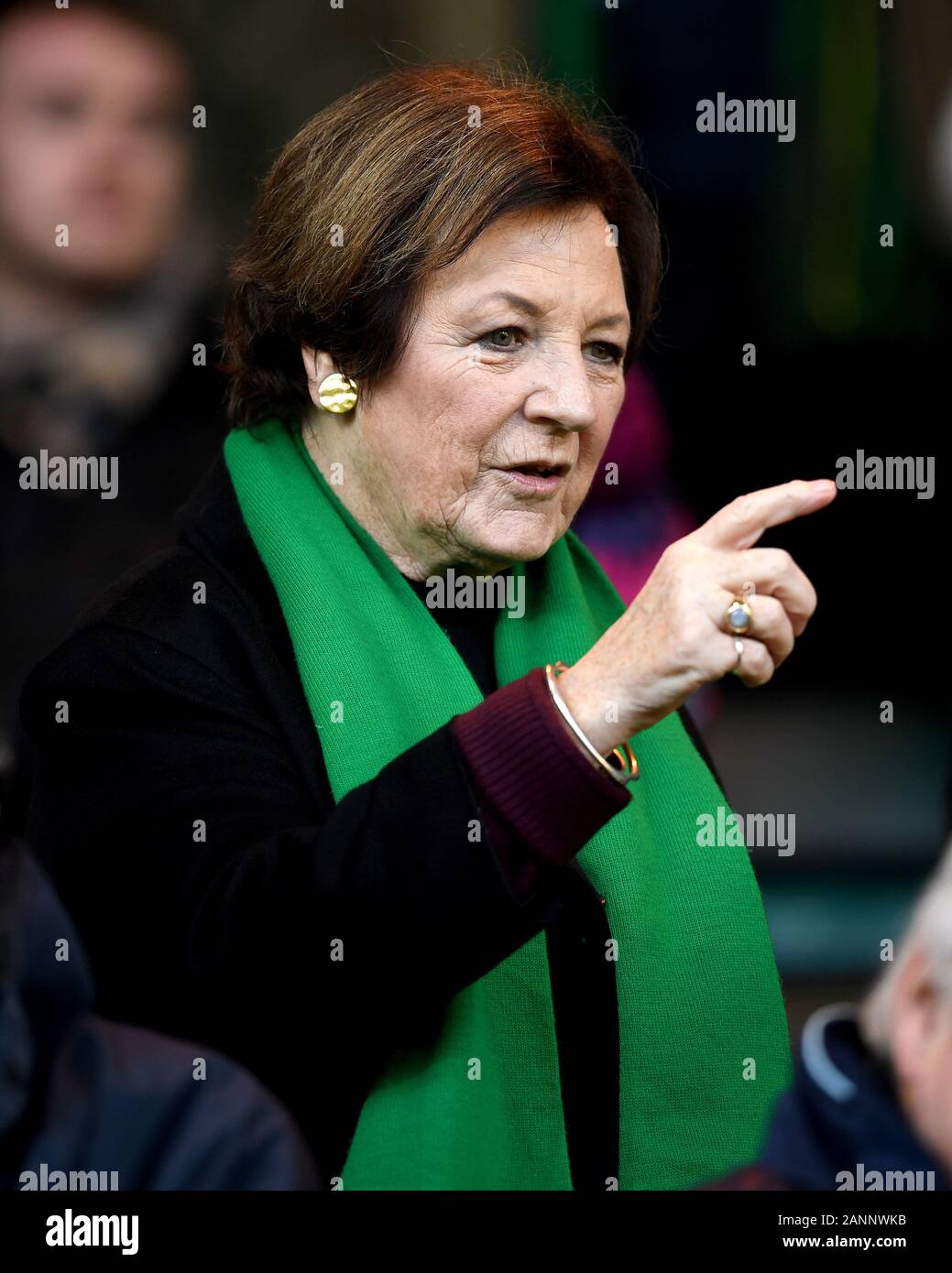 Get Delia Smith Norwich Background