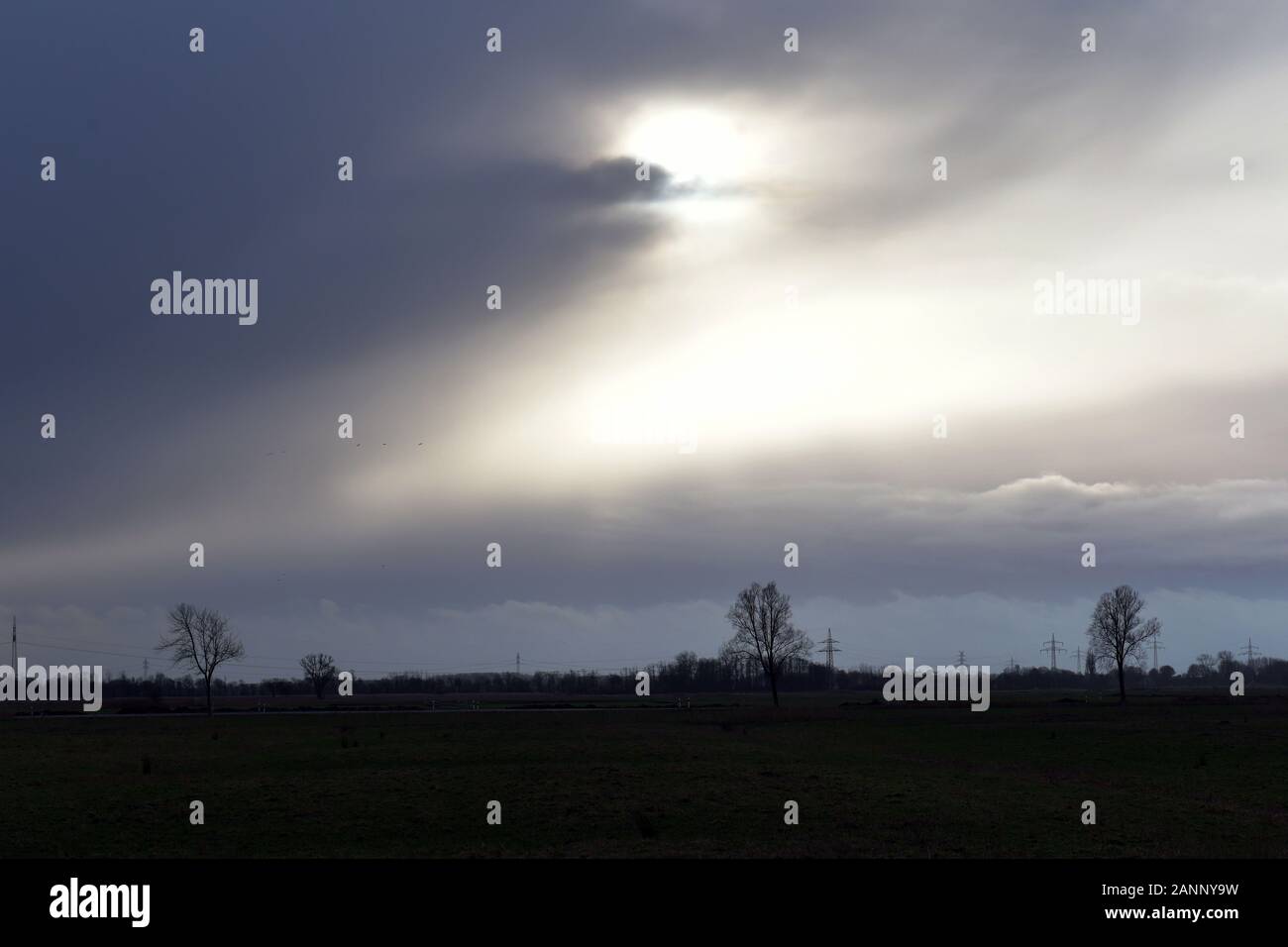 Nordenham, Germany. 18th Jan, 2020. Clouds dominate the sky over pastures in the Frisian town of Blexen near Nordenham. Credit: Michael Bahlo/dpa/Alamy Live News Stock Photo
