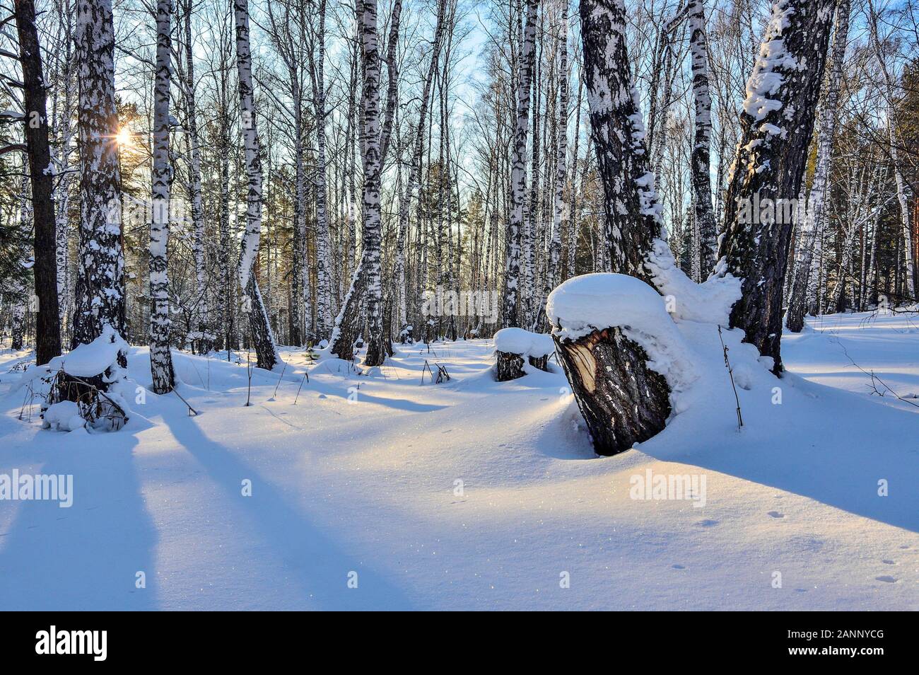 Winter deep freeze sunrise hi-res stock photography and images - Alamy