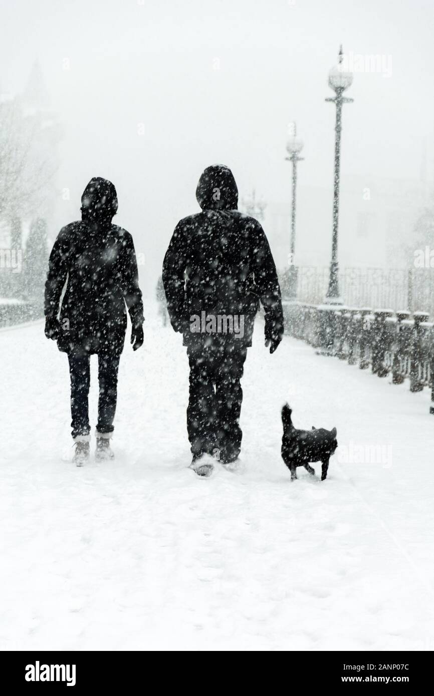 Silhouette of couples out for a walk with the dog. Blizzard. Stock Photo