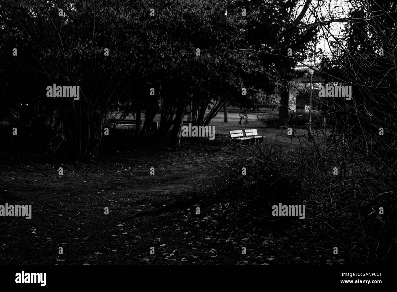 hidden bench in a city park Stock Photo