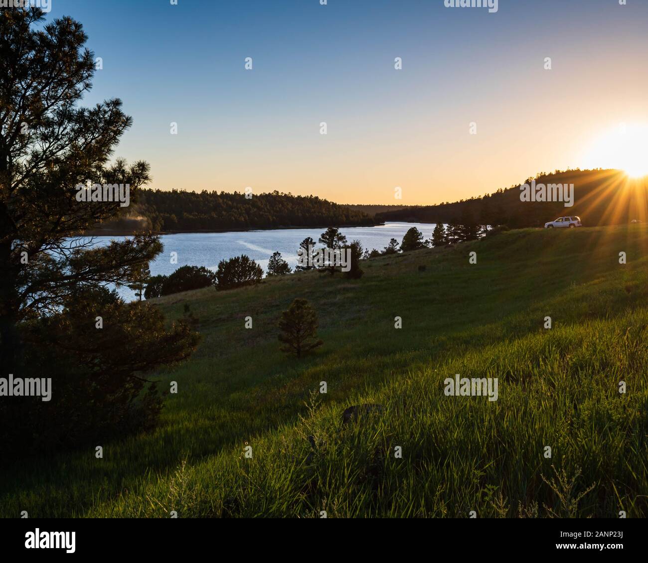 Lake Mary in Flagstaff, Arizona, with blue water during sunset. Golden highlights paint the pine trees. Fresh green grass lead to a parked white SUV. Stock Photo