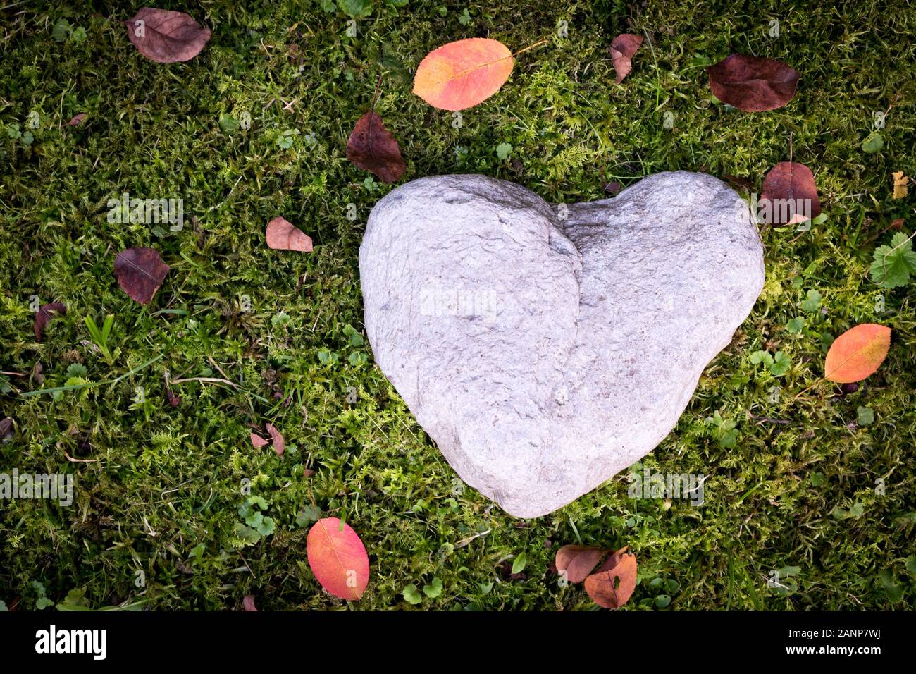 Heart concept: Stone in heart shape is lying on the green grass Stock Photo