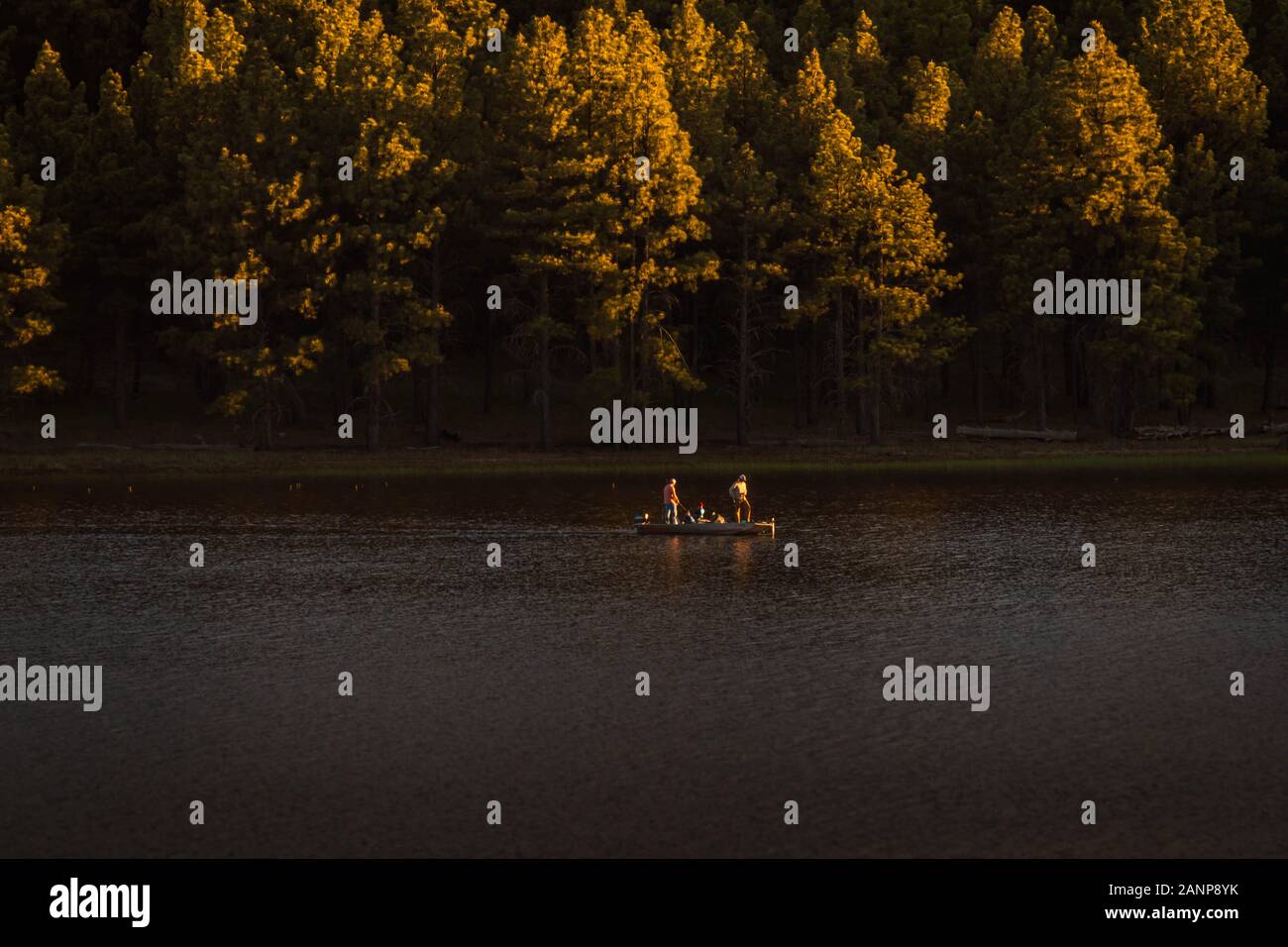 Two men and their kids are on a boat fishing at Lake Mary in Flagstaff, Arizona. The pine forest behind them is highlighted with gold sunlight. Stock Photo