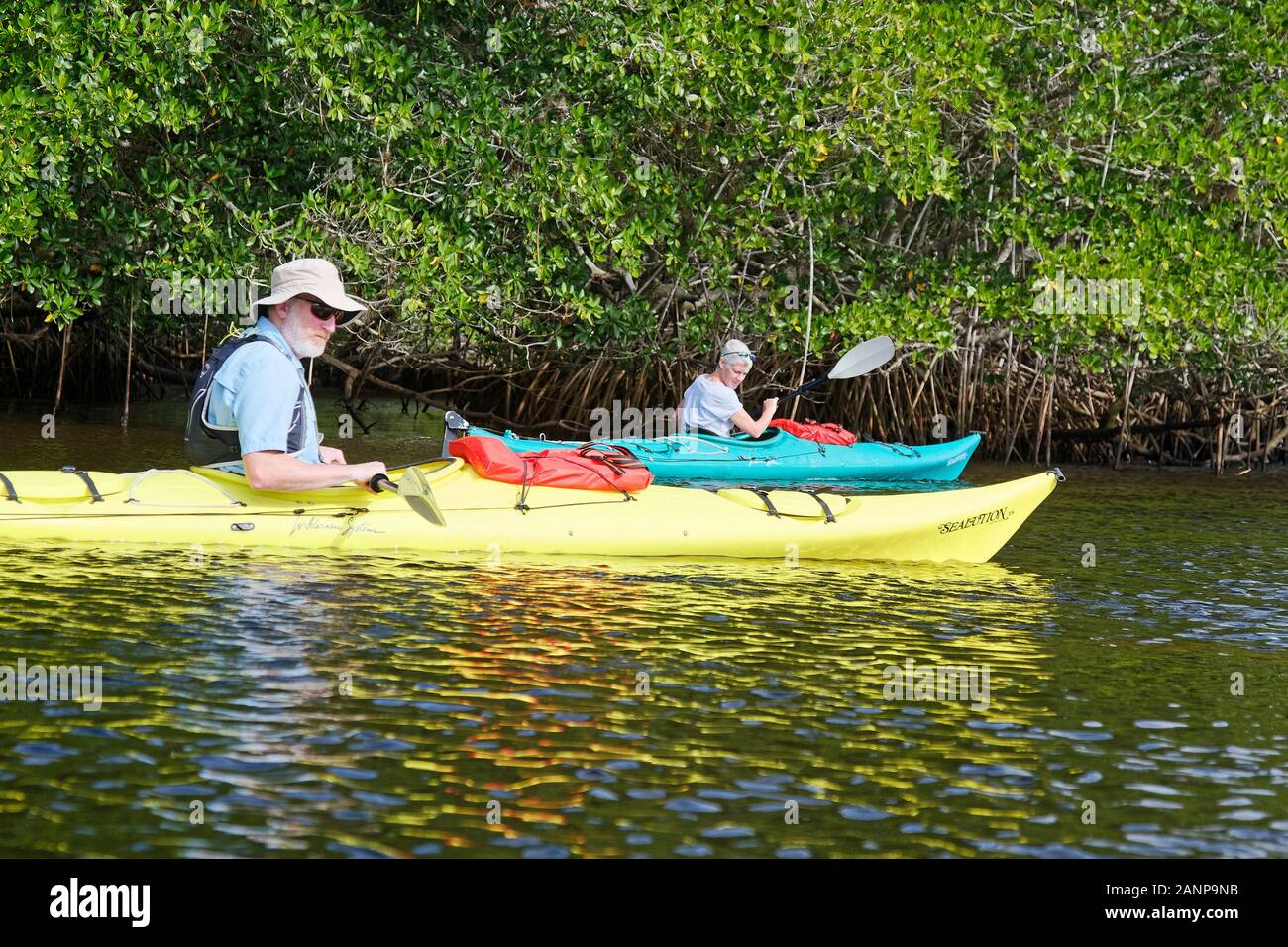 Kayakers looking for manatees hi-res stock photography and images - Alamy