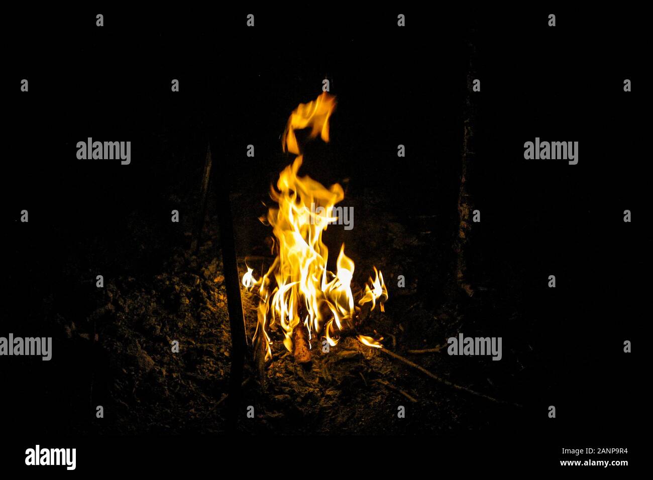 Fire flames in the dark image of a campfire at night isolated on the black background Stock Photo