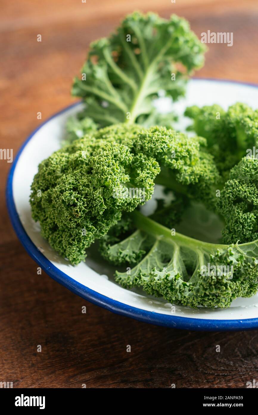 Fresh kale leaves from the garden. Stock Photo