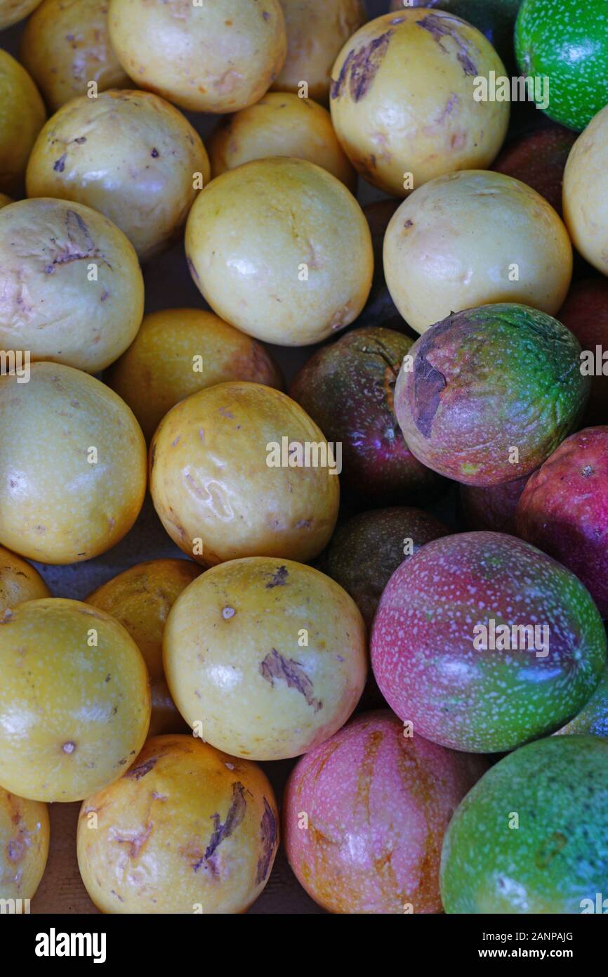 Crate of colorful ripe passion fruits at a food market Stock Photo