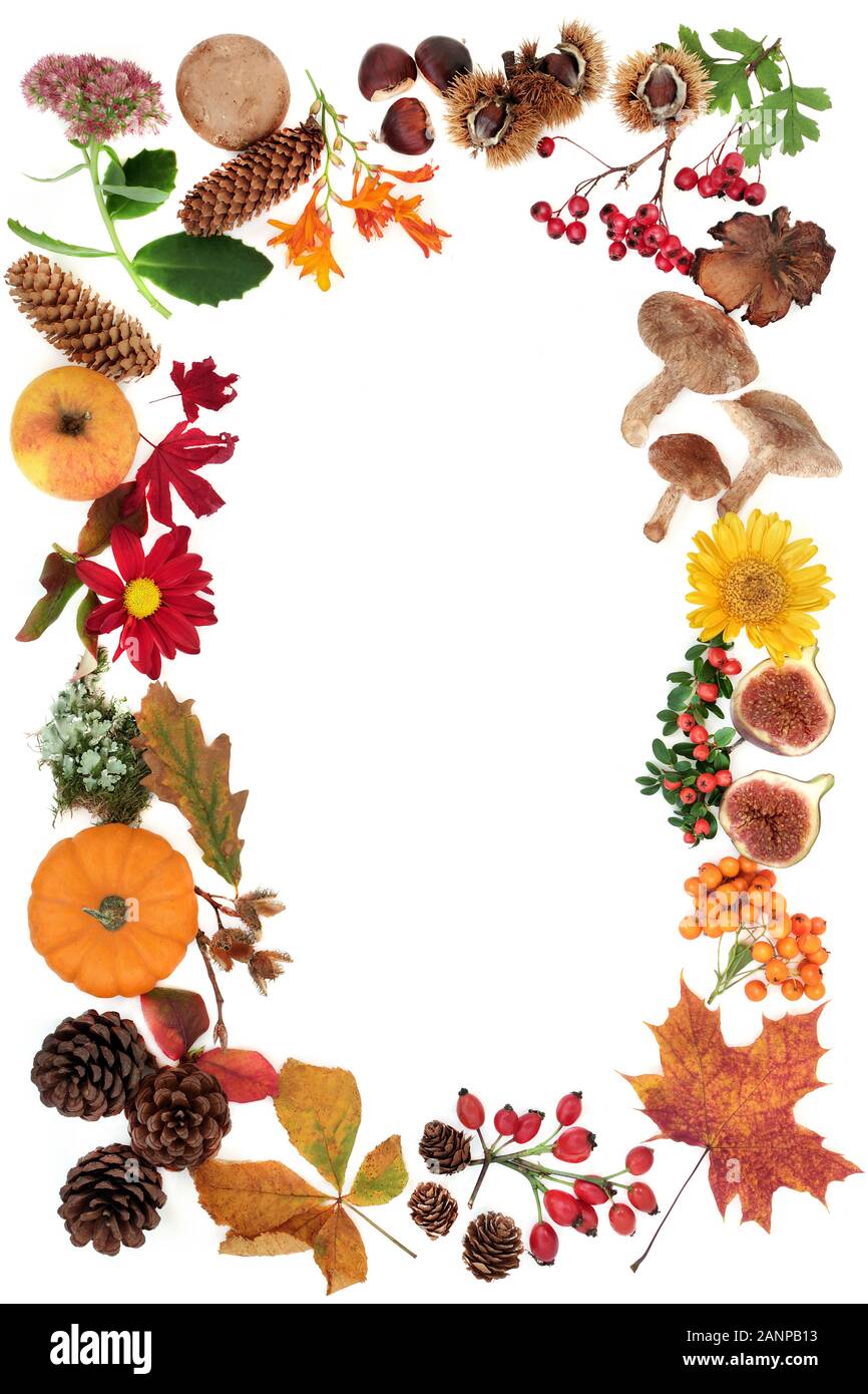 Autumn background border with food, flowers and leaves on white background with copy space. Top view. Harvest festival theme. Stock Photo