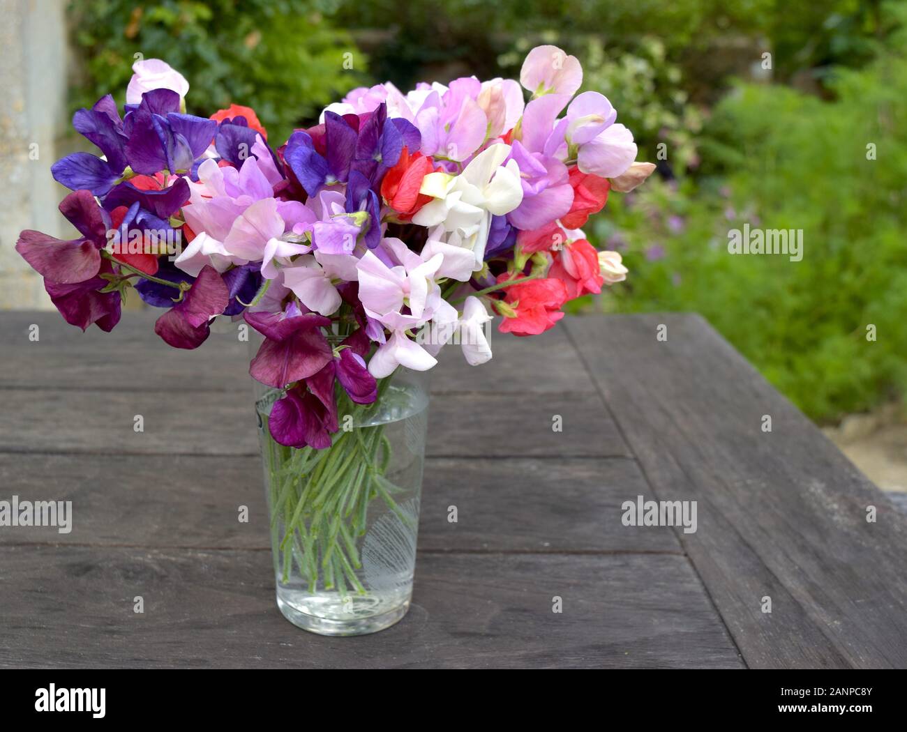 Sweet Pea Flowers Bouquet With Vibrant Colours Stock Photo Alamy