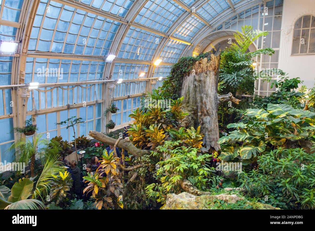 Schmetterling House, Butterfly Zoo, Vienna, Austria Stock Photo Alamy