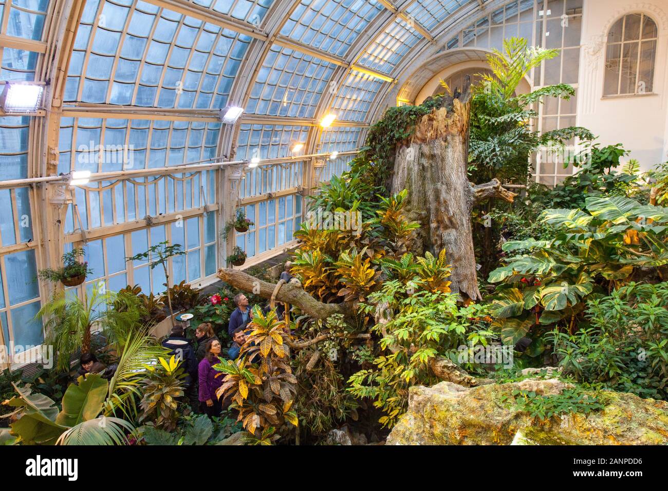 Schmetterling House, Butterfly Zoo, Vienna, Austria Stock Photo Alamy