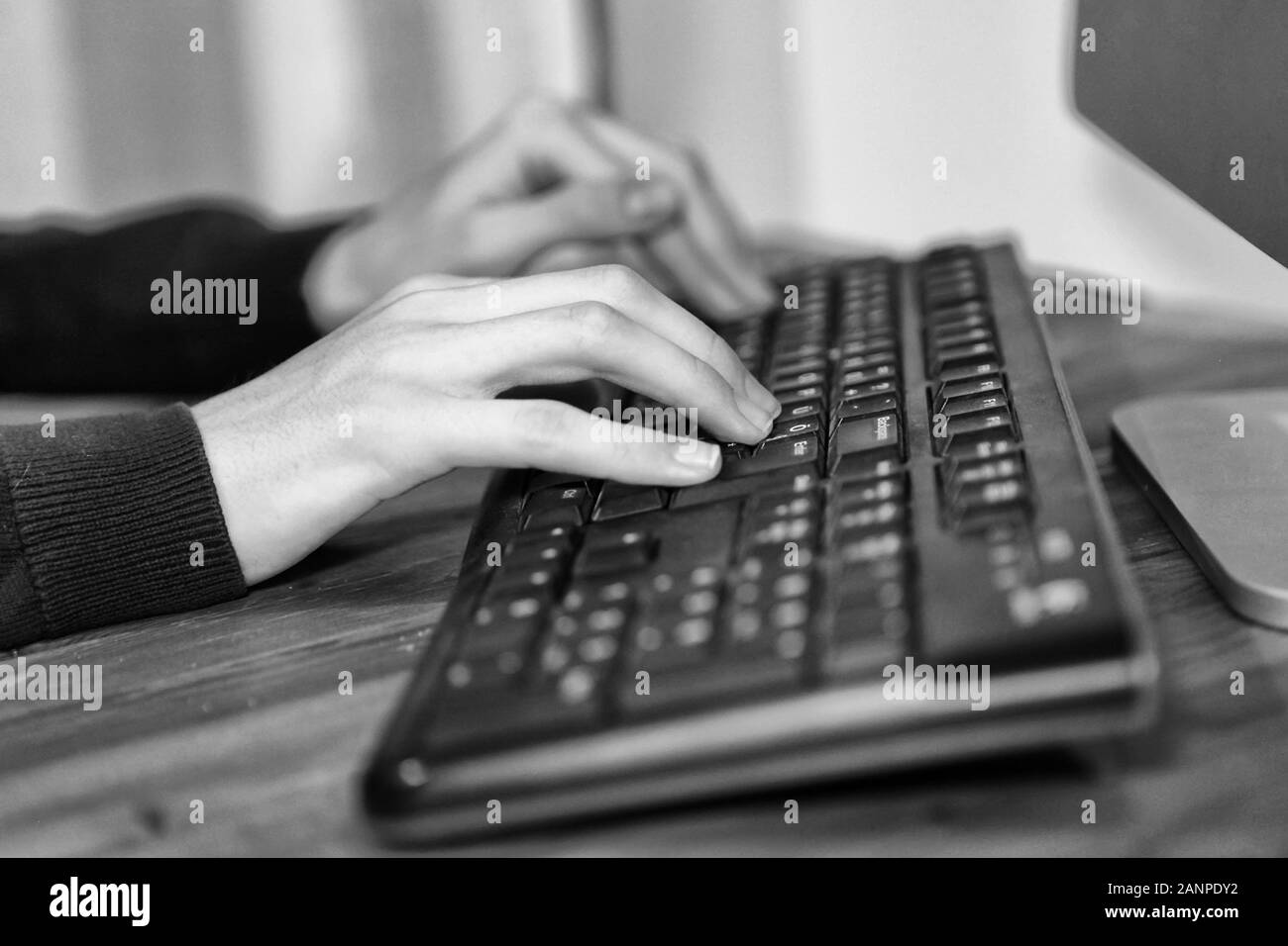 Black and white image of a business hands working and typing on laptop keyboard in office Stock Photo