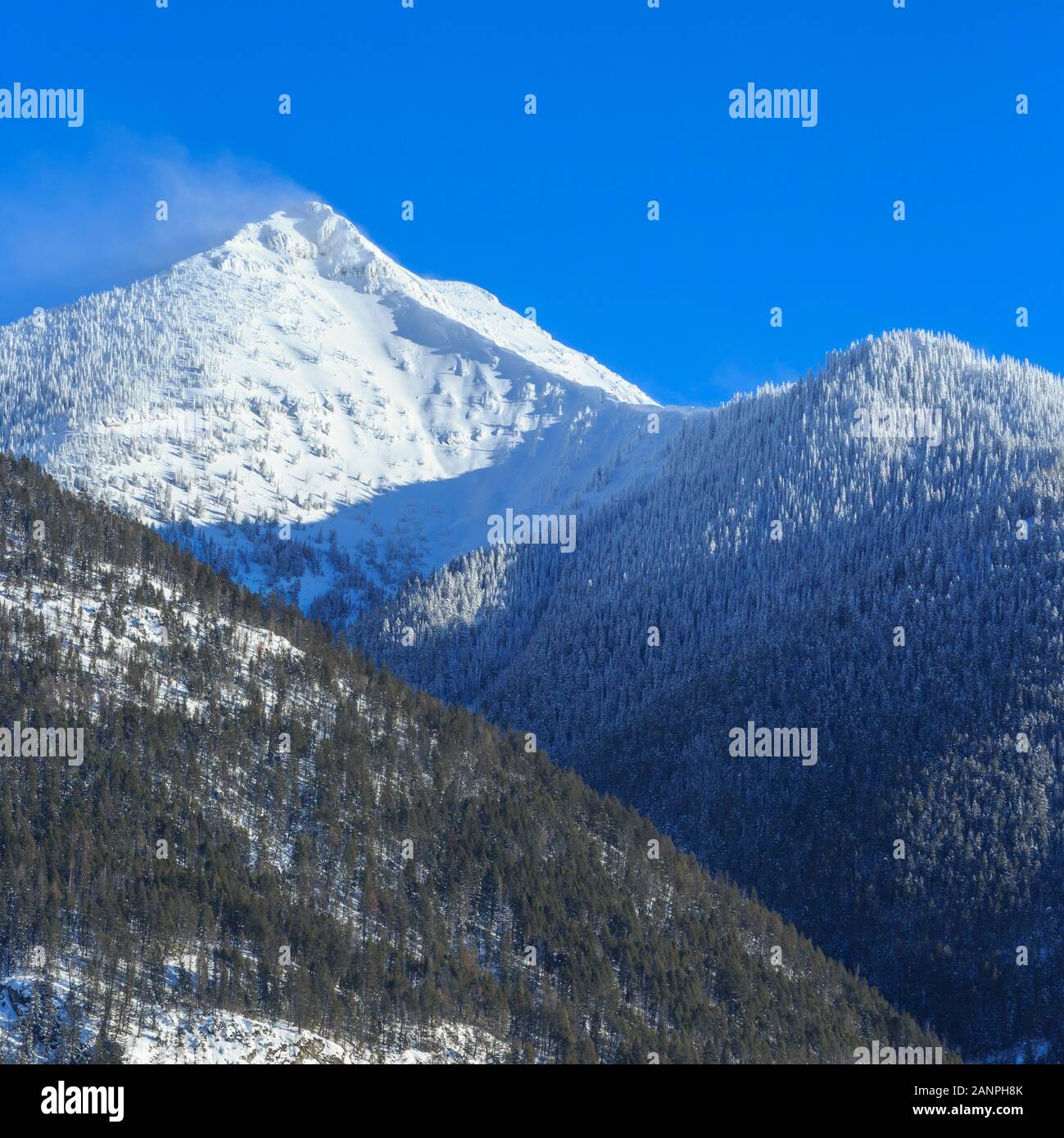 carmine peak in the swan range in winter near condon, montana Stock Photo