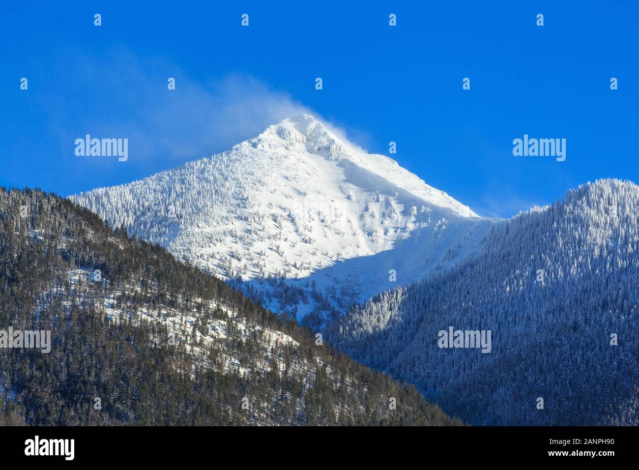 carmine peak in the swan range in winter near condon, montana Stock Photo