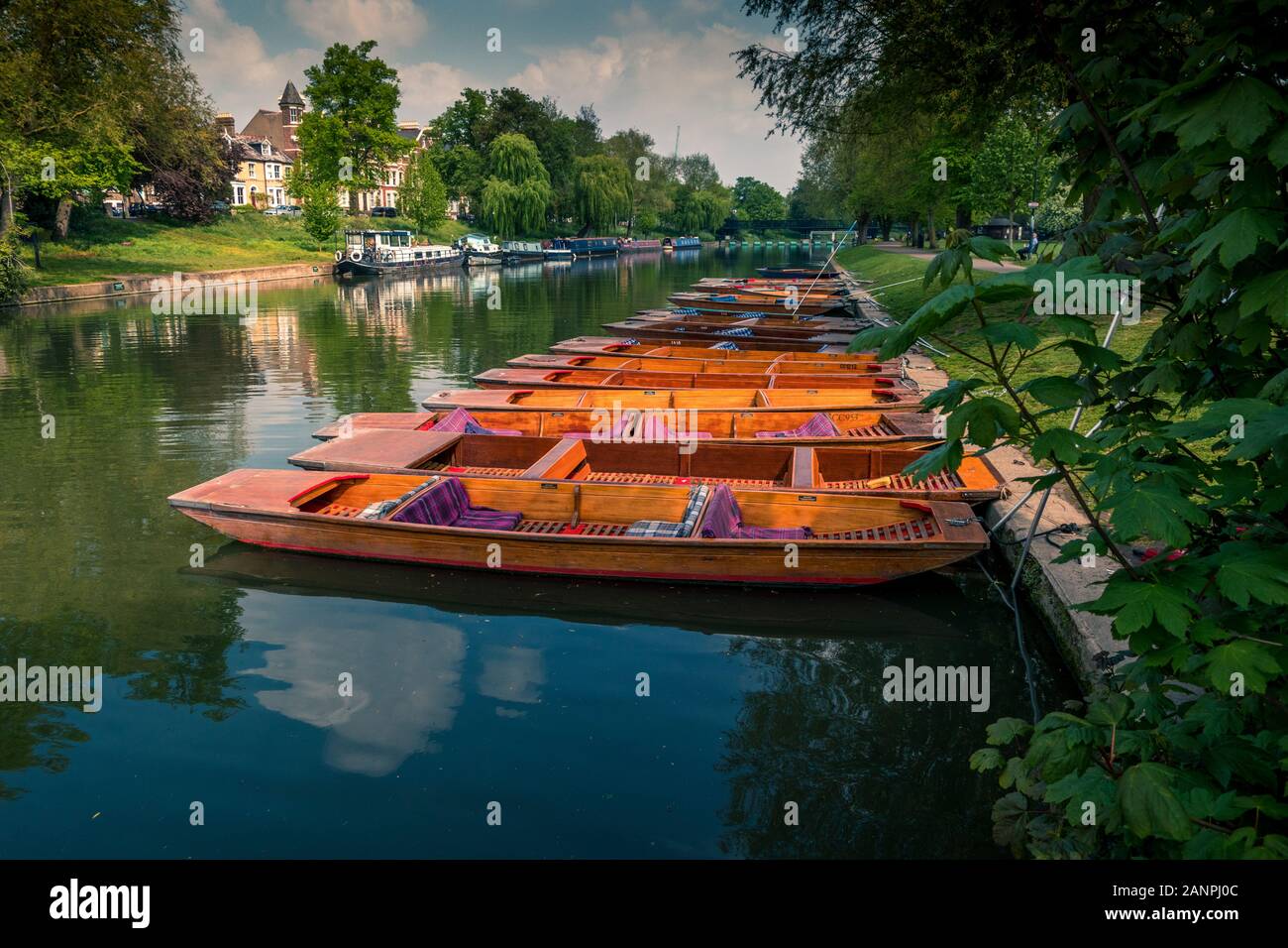 Row of moored punts on the River Cam Cambridge England Stock Photo