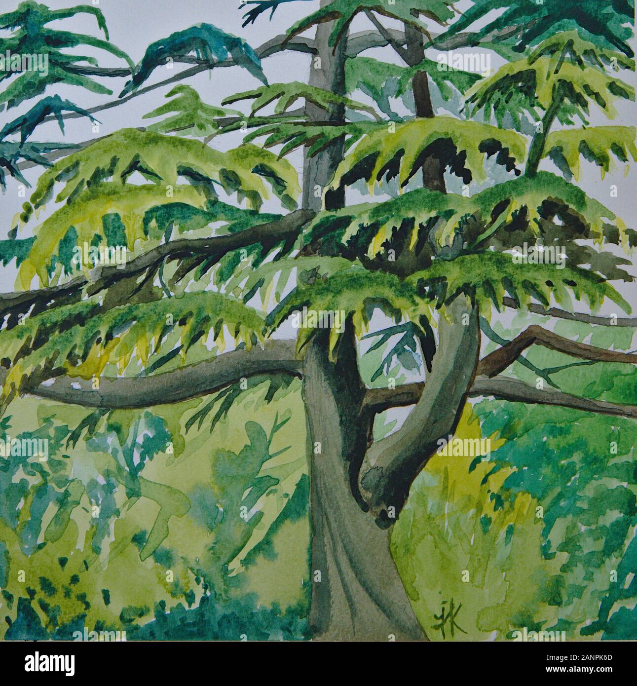 Vibrant Watercolour painting of cedar tree in Horniman Gardens Stock Photo