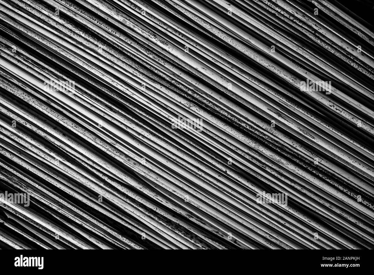 Background with cane, diagonal, horizontal orientation, close-up, copy ...