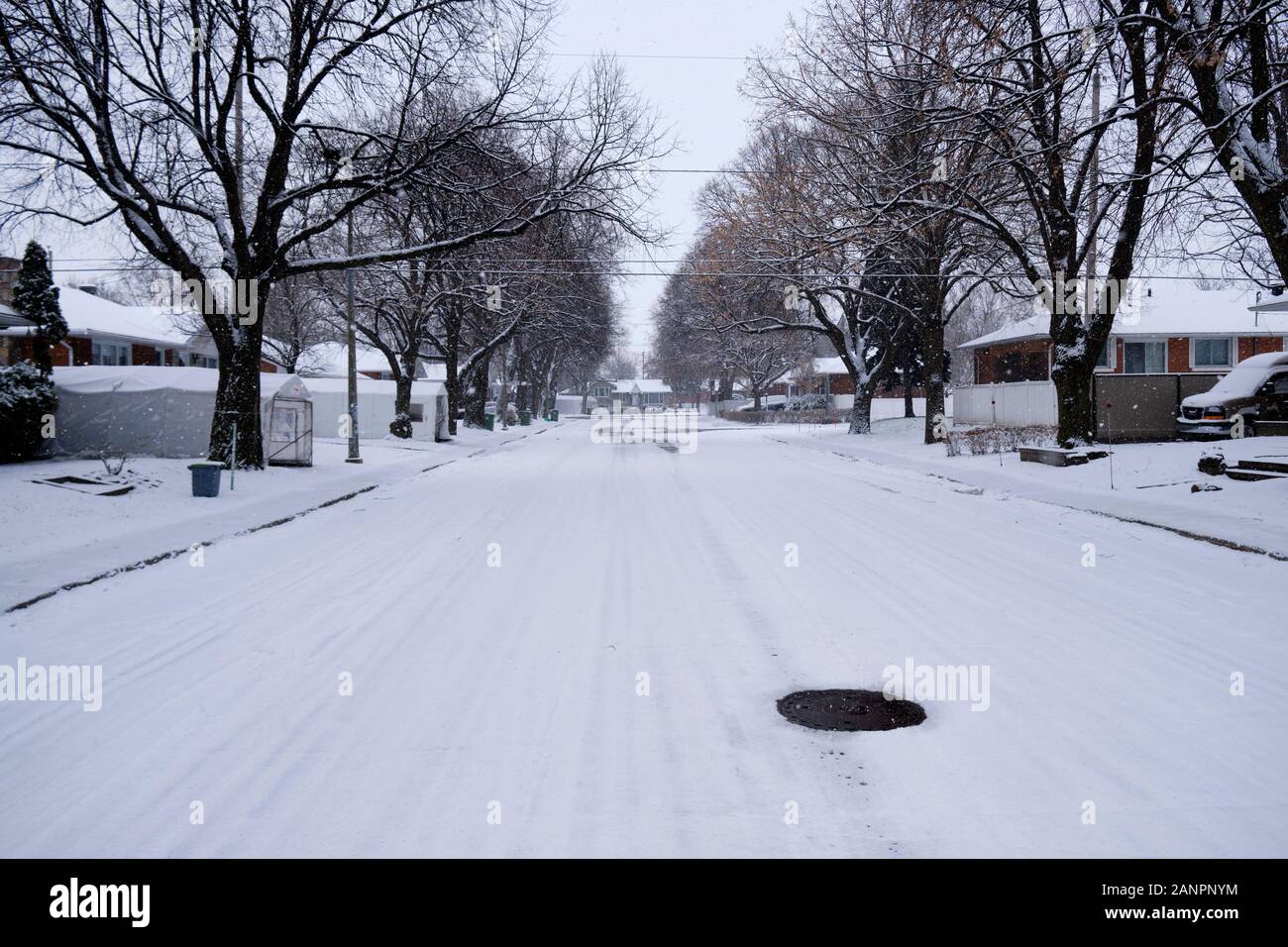 East end Montreal city street covered in snow during a winter storm  framed by leafless trees Stock Photo