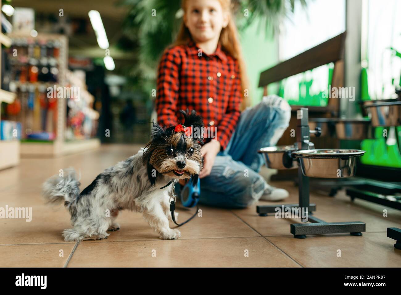 Little girl looking clothes for dog in pet store Stock Photo
