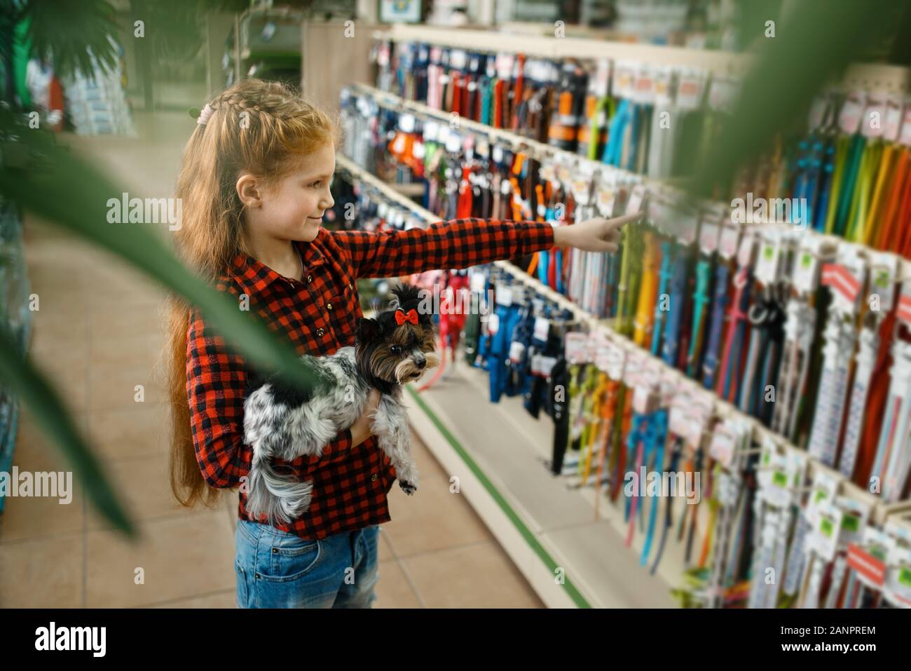 Little girl choosing leash and collar, pet store Stock Photo