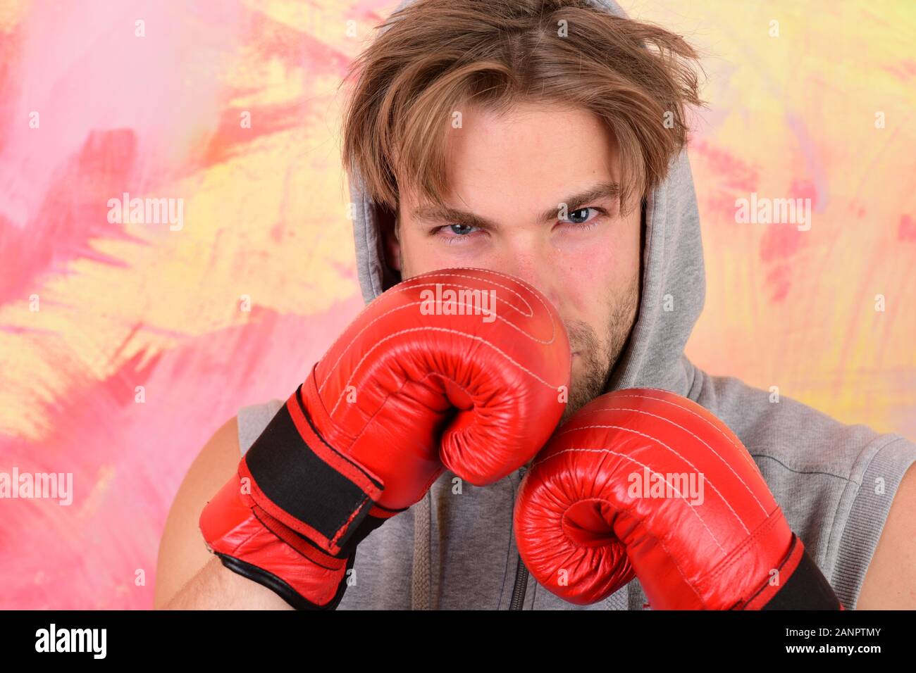 Man with messy hair on colorful background. Sports, box and strength  concept. Guy in grey sleeveless hoodie wears red leather boxing gloves.  Boxer with serious face trains to hit Stock Photo -
