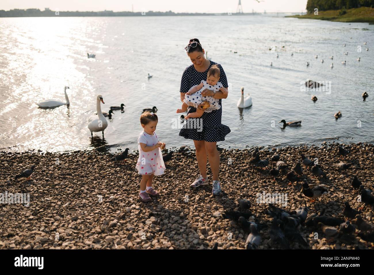 baby swan dress