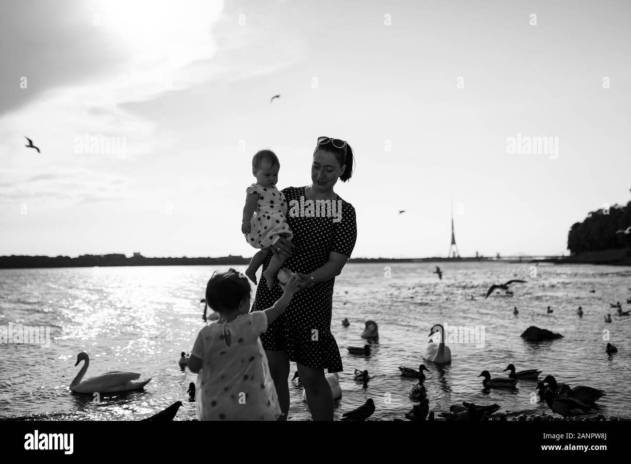 Young mother with her baby girl daughters feeding swan and little ducklings birds bread at a river wearing dotted dress - Family values warm color Stock Photo