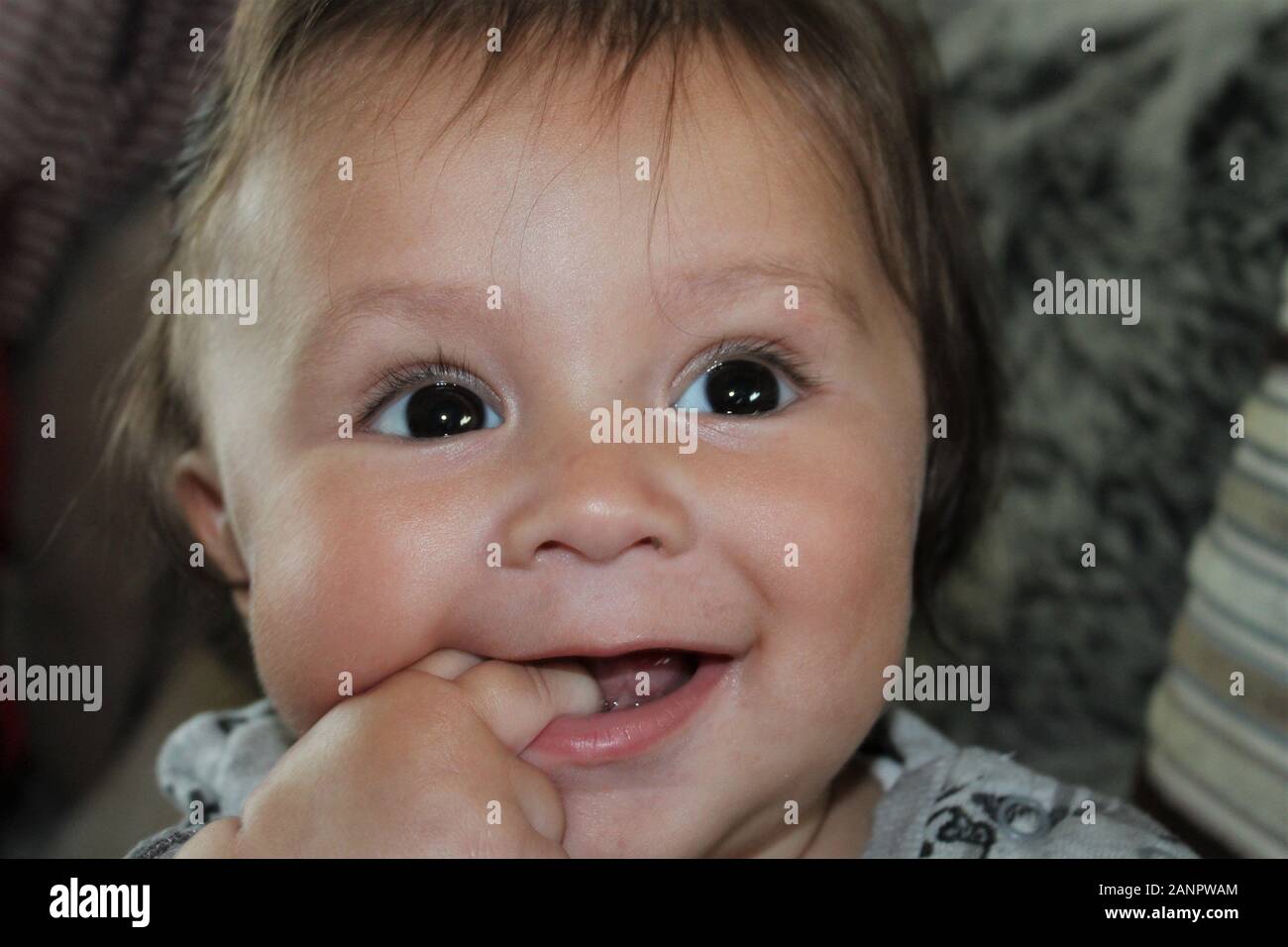 Smiling baby boy with his fingers in his mouth Stock Photo Alamy
