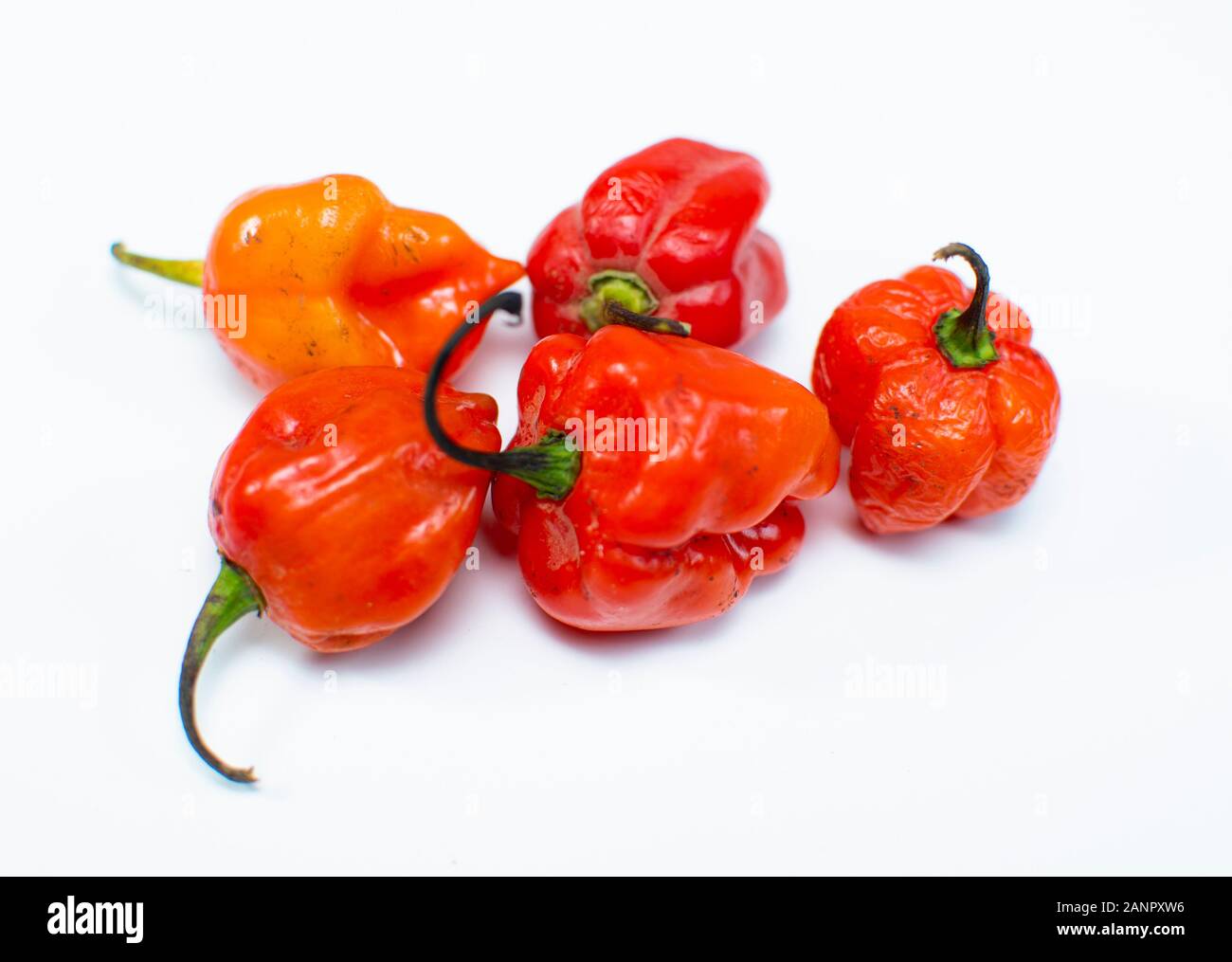 Fresh habanero peppers, typically "Ata Rodo" in Yoruba language isolated on white Stock Photo