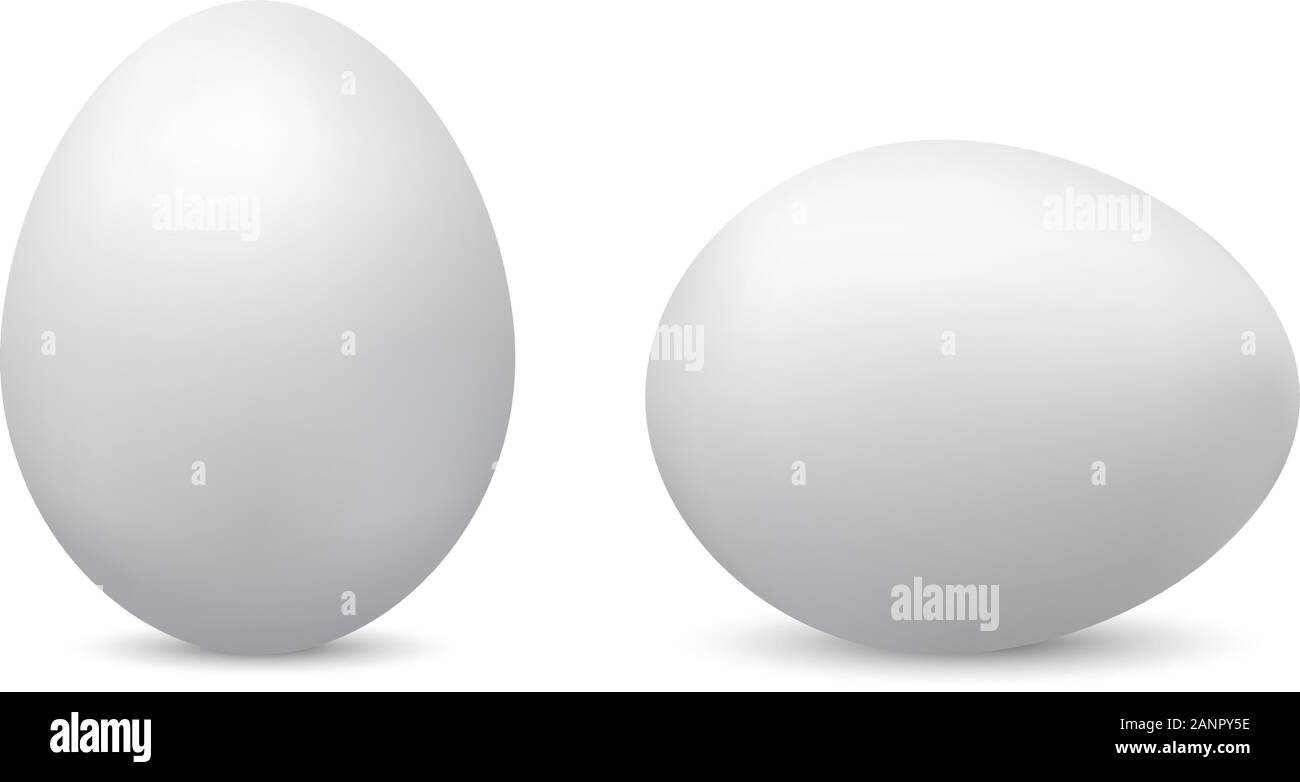 Realistic eggs isolated on white background. Easter vector illustration. Stock Vector