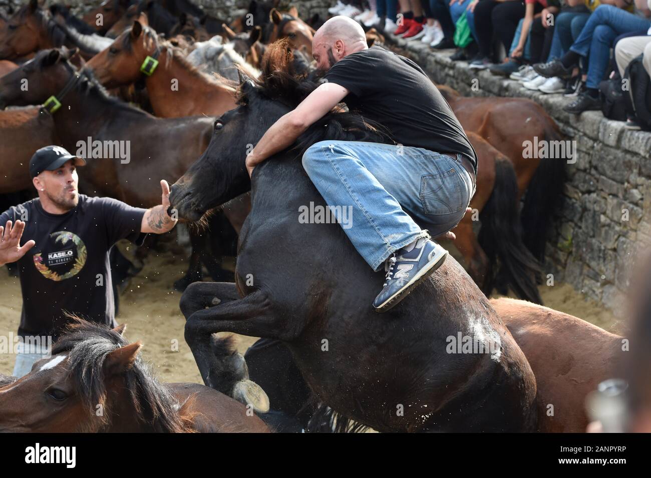SABUCEDO, SPAIN - 6-7 Jul 2019 - The Rapa Das Bestas (Shearing of the Beasts) 2019 held in Sabucedo Galicia Spain Stock Photo