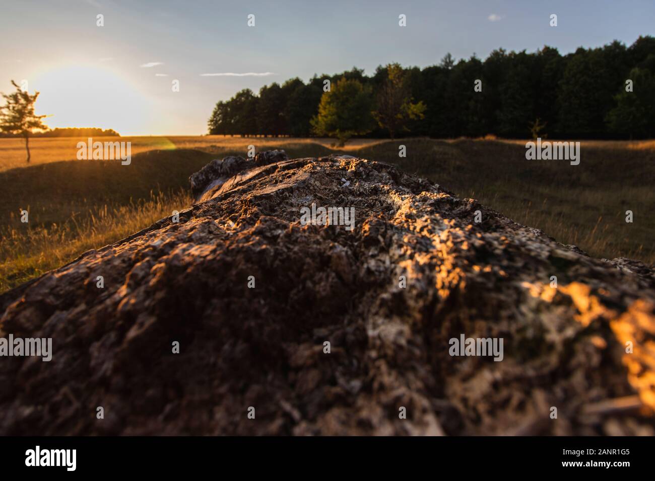 closeup of a big stone in front of a field and forest Stock Photo