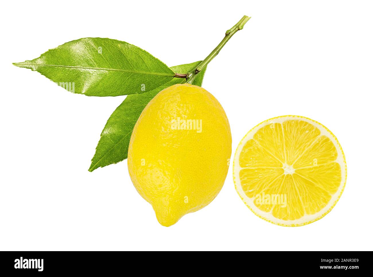 lemon isolated on white background Stock Photo - Alamy