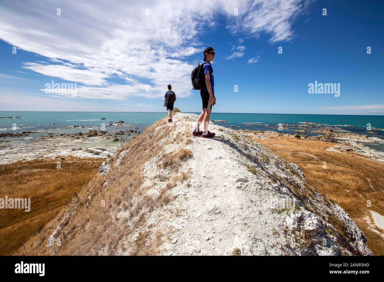 Kaikoura, New Zealand: the uplift from the 2016 earthquake pushed land out of the water, shown by the white-coloured rocks now clear of high tides Stock Photo