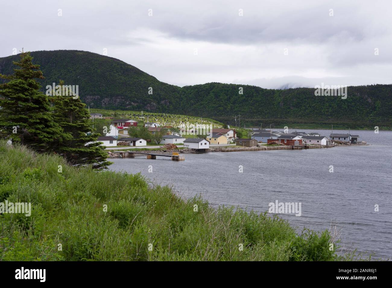 Lark harbour hires stock photography and images Alamy