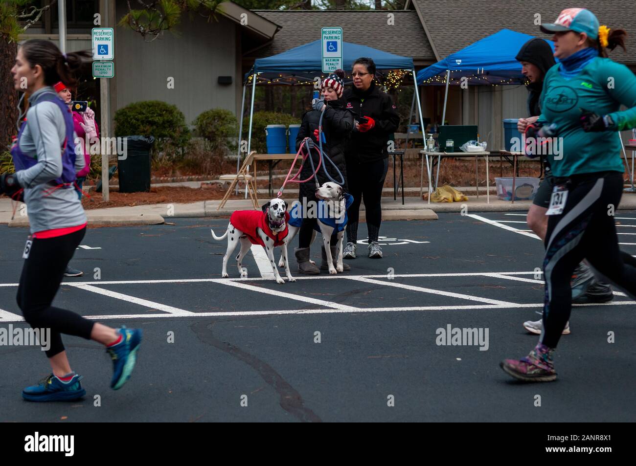 Southern Pines, North Carolina, USA. 18th Jan, 2020. Jan. 18, 2020 - Southern Pines N.C., USA - ALYSSA ELMORE, left, MARGOT VANDENBOSSCHE, and Dalmations Finley and Riley, watch the start of the Weymouth Woods 50 Mile Trail Run and Relay at the Weymouth Woods Nature Preserve. Runners and two-person relay teams were given 15 hours to complete the ten-lap, 5-mile course. Credit: Timothy L. Hale/ZUMA Wire/Alamy Live News Stock Photo