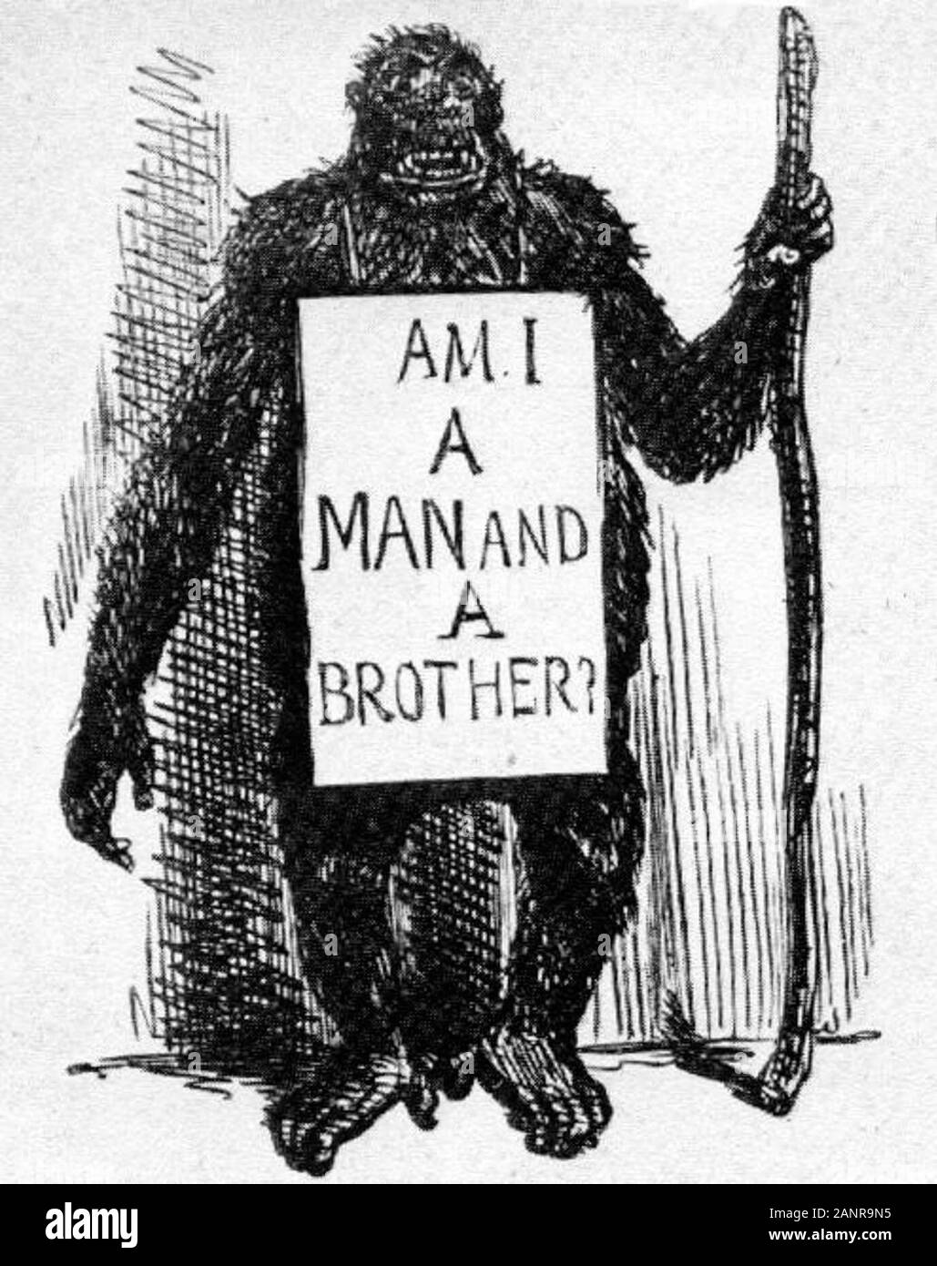 Page 3 Cartoon Punch High Resolution Stock Photography And Images Alamy