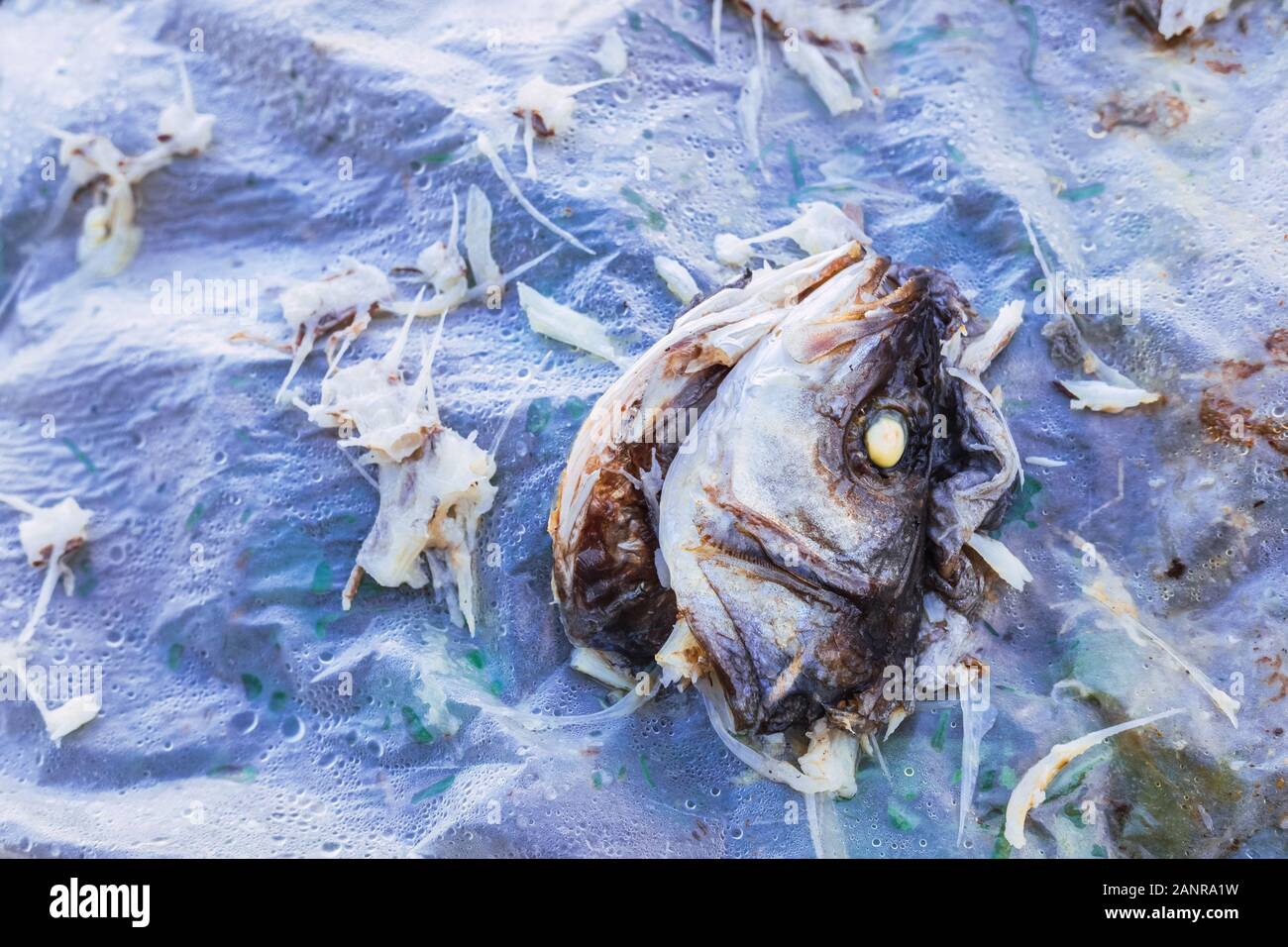 Head and scrapes of a fish thrown in the trash Stock Photo - Alamy