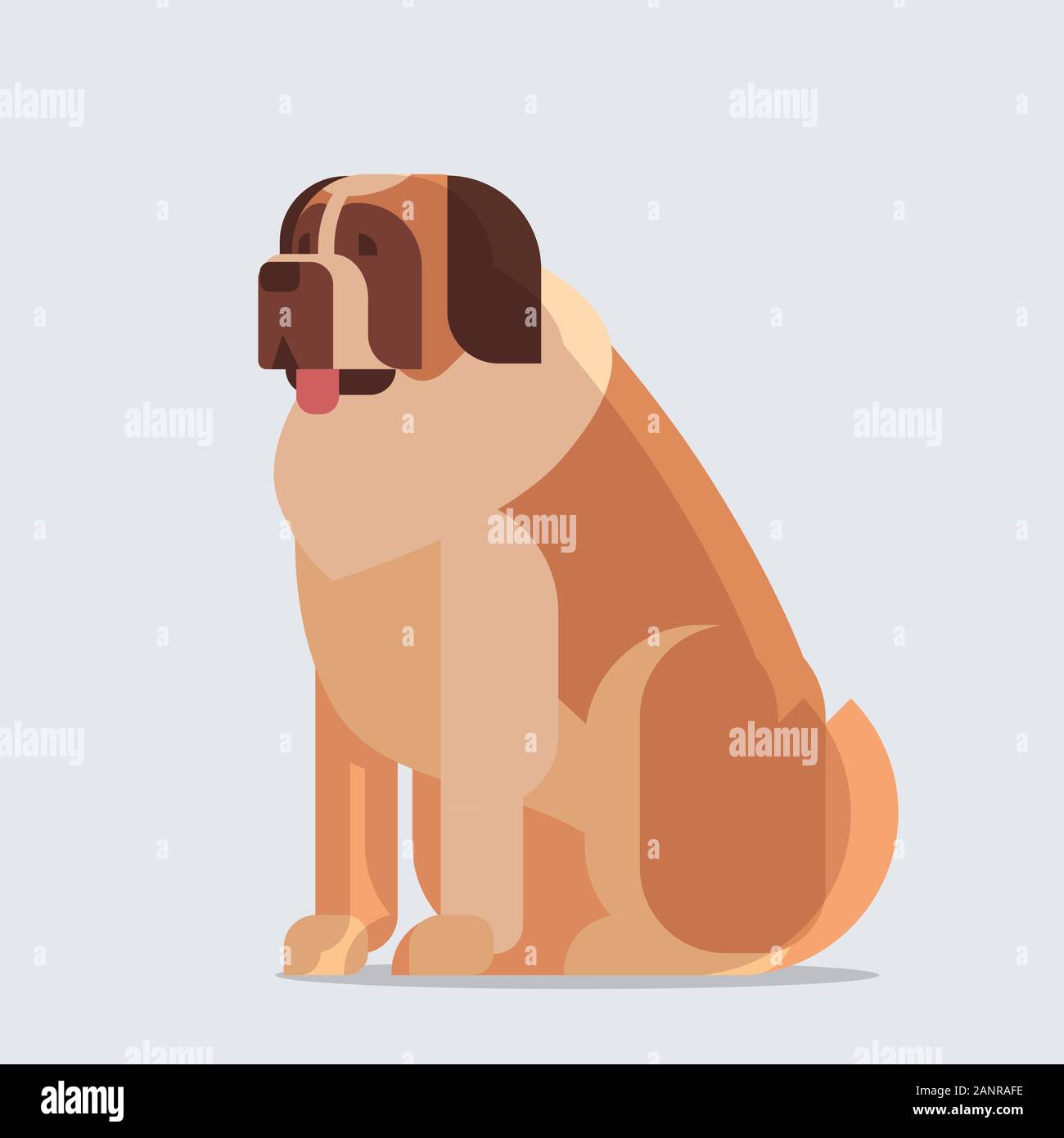 Short Haired Saint Bernard Dog Icon Furry Human Friend Home Animal