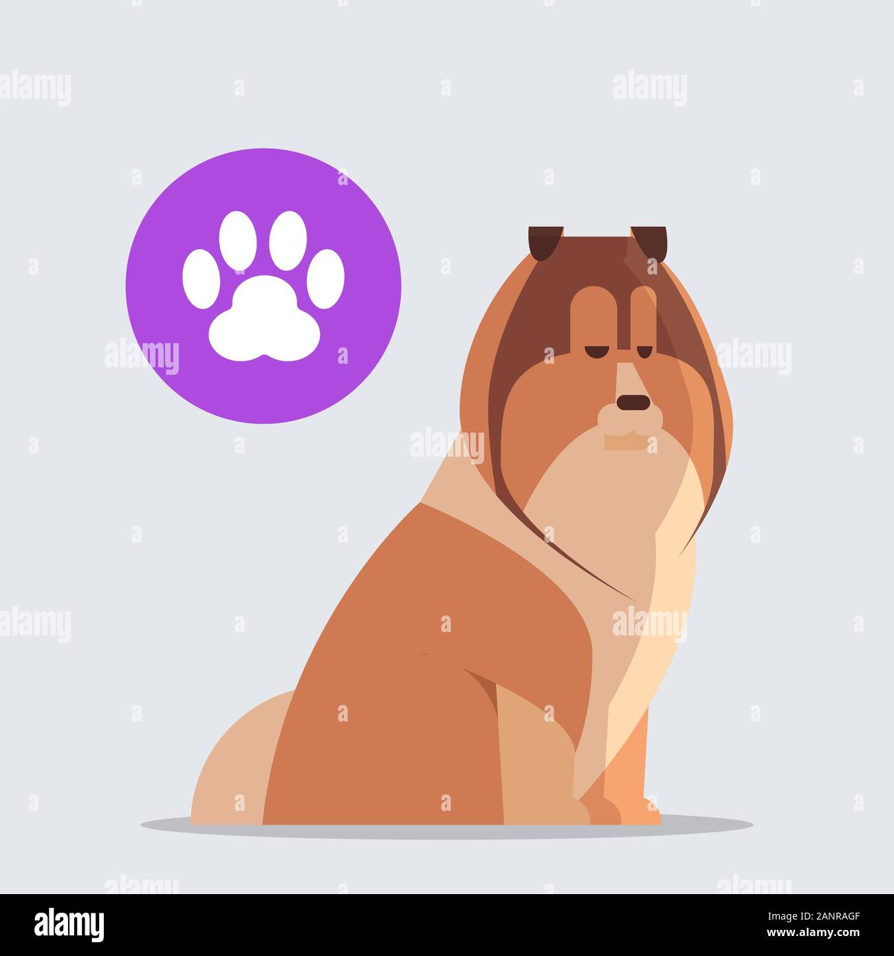 cute scottish collie dog with chat bubble speech furry human friend home pet concept cartoon animal full length vector illustration Stock Vector