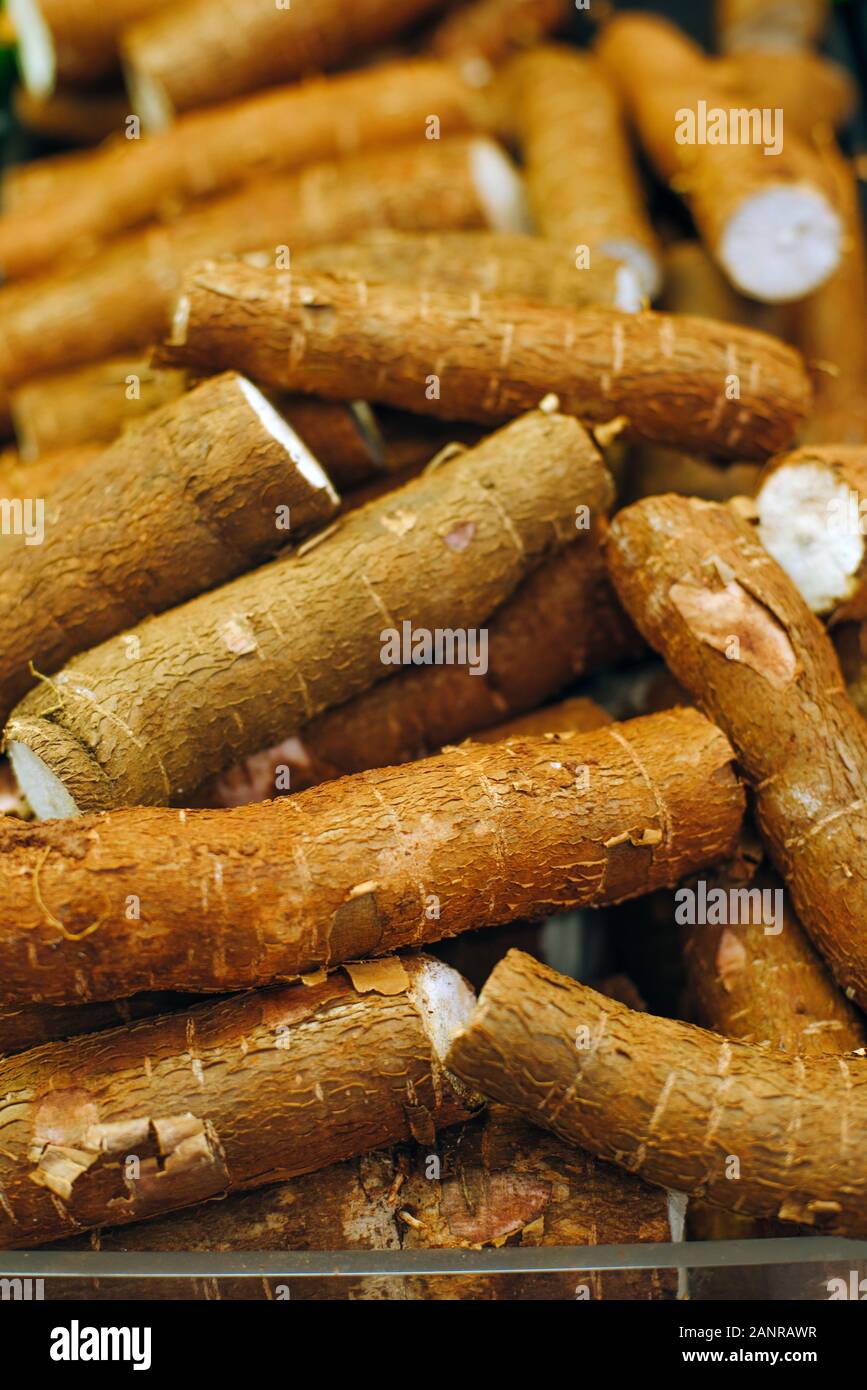 yucca root as sample display at market place Stock Photo
