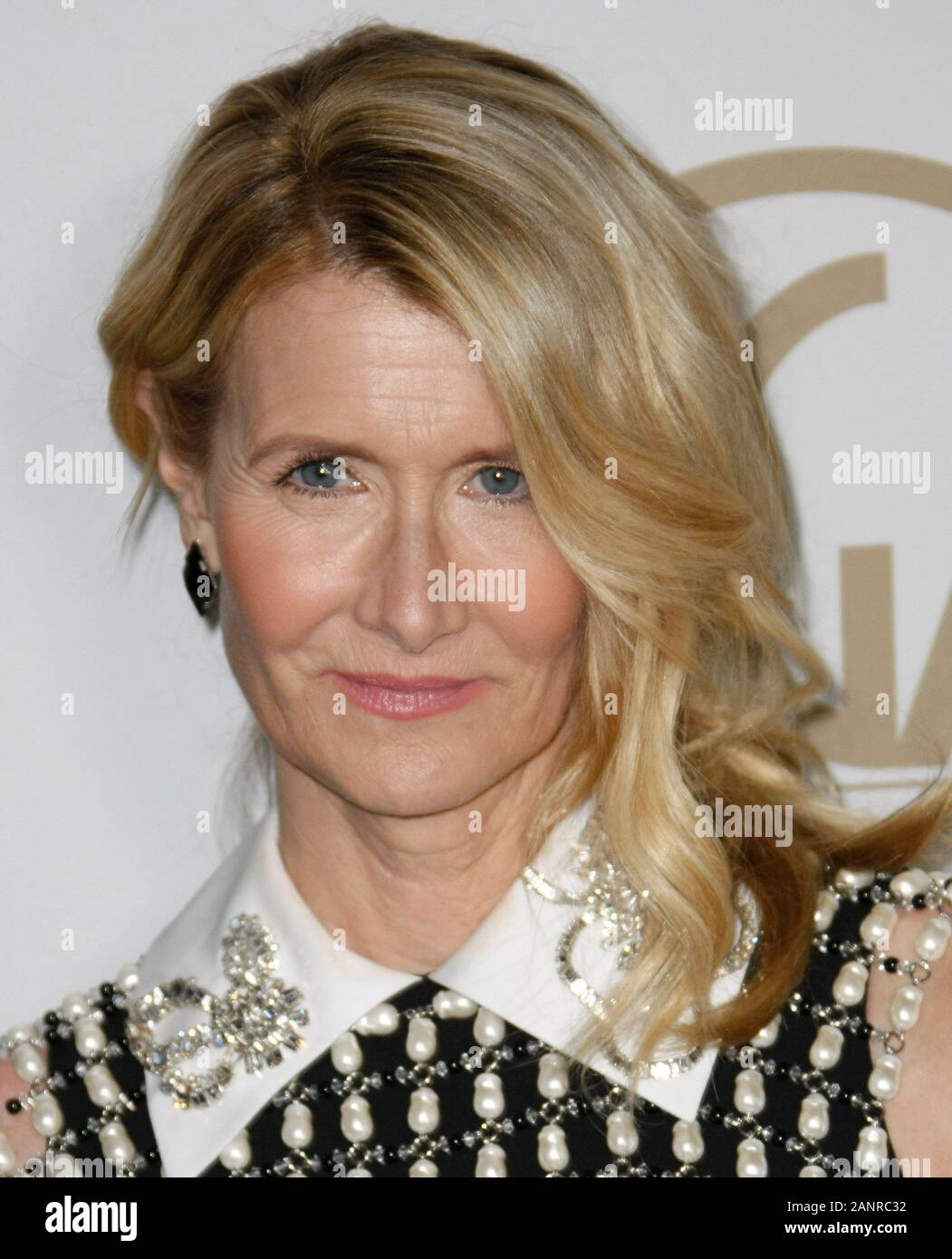 Hollywood, USA. 18th Jan, 2020. LOS ANGELES, CALIFORNIA - JANUARY 18: Laura Dern attends the 31st Annual Producers Guild Awards at Hollywood Palladium on January 18, 2020 in Los Angeles, California. Photo: CraSH/imageSPACE Credit: Imagespace/Alamy Live News Stock Photo