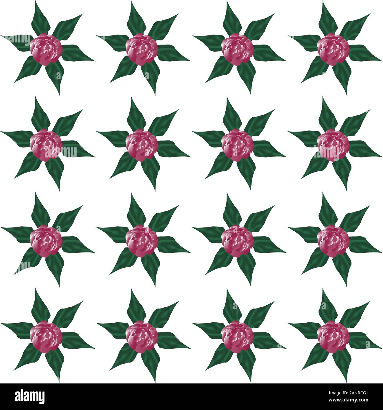 Seamless pattern of a peony, realistic style. Stock Vector