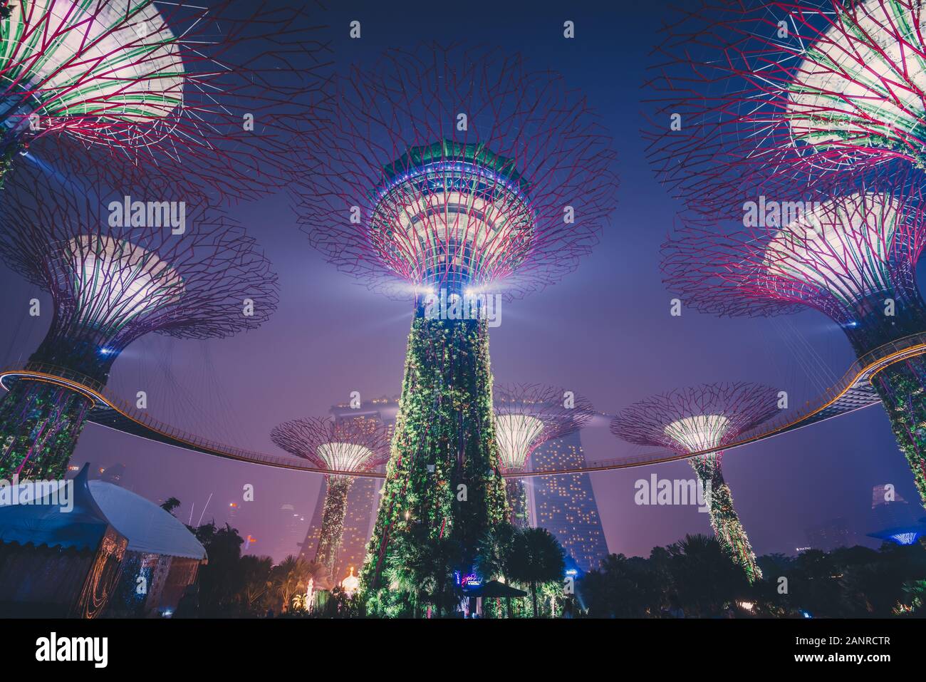 Supertrees with the Marina bay sands hotel in the background, in Singapore Stock Photo