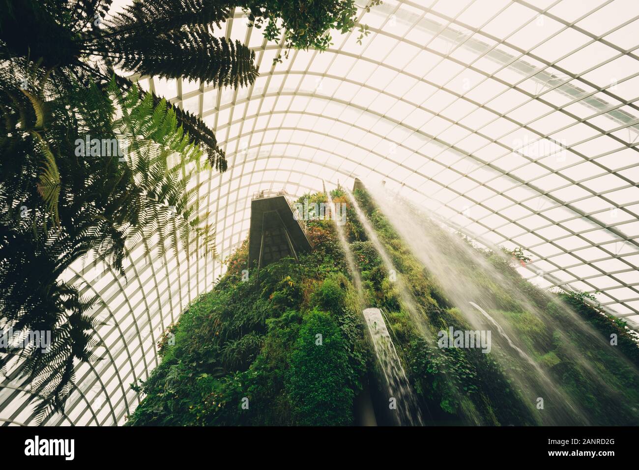 Waterfall at the cloud forest dome in Singapore Stock Photo