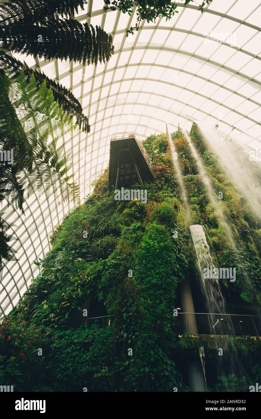 Waterfall at the cloud forest dome in Singapore Stock Photo