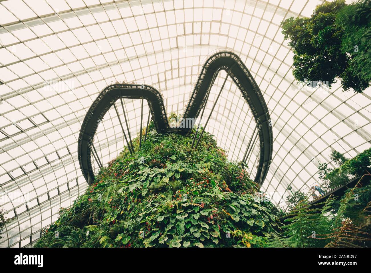 The cloud forest dome at the gardens by the bay in Singapore Stock Photo